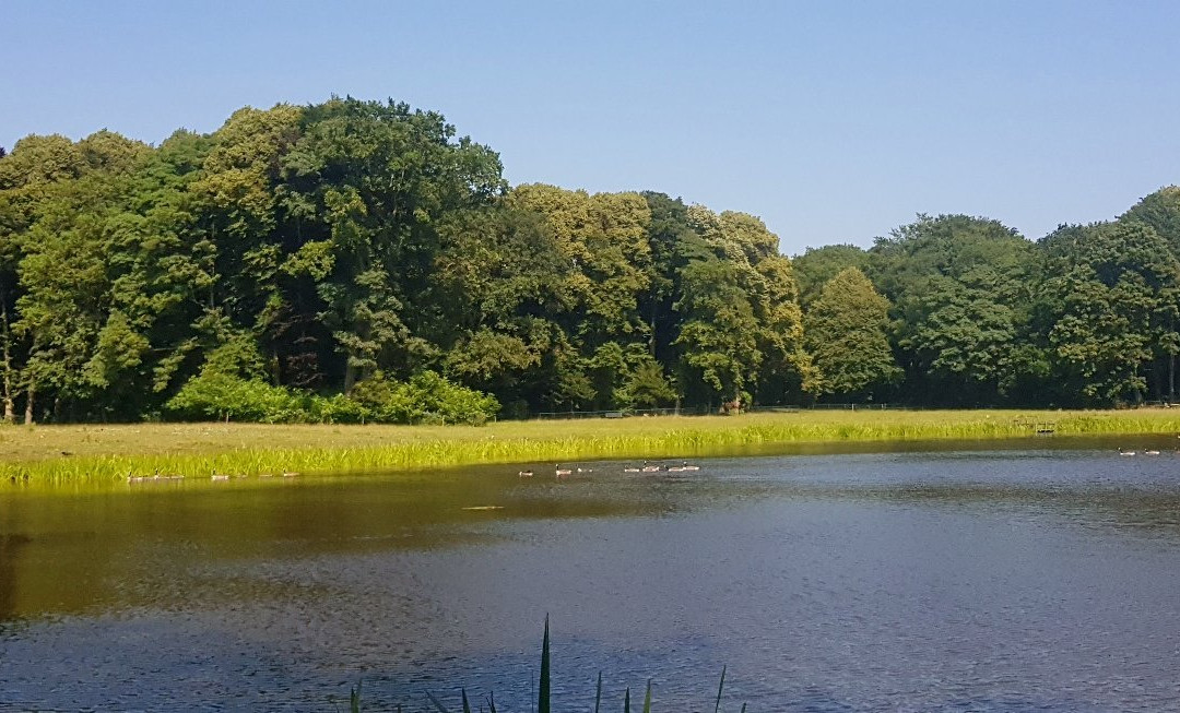 Oud Wassenaar: landhuis in Wassenaar景点图片