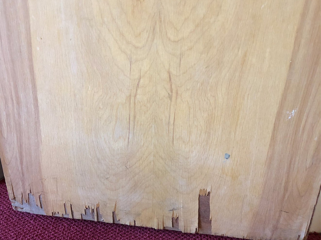 Feather Nest Inn主图