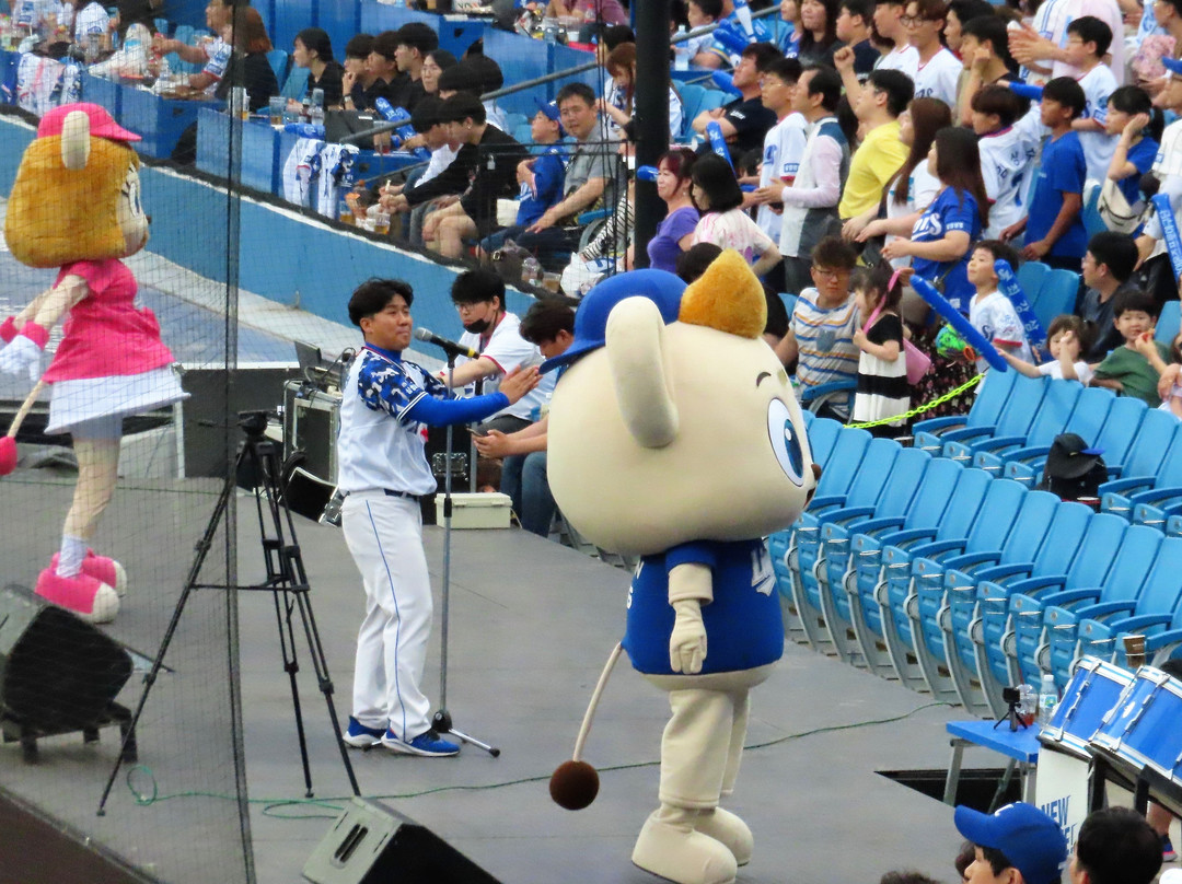Daegu Samsung Lions Park-大邱必去景点