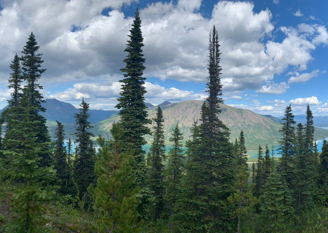 Montana Mountain-Carcross必去景点