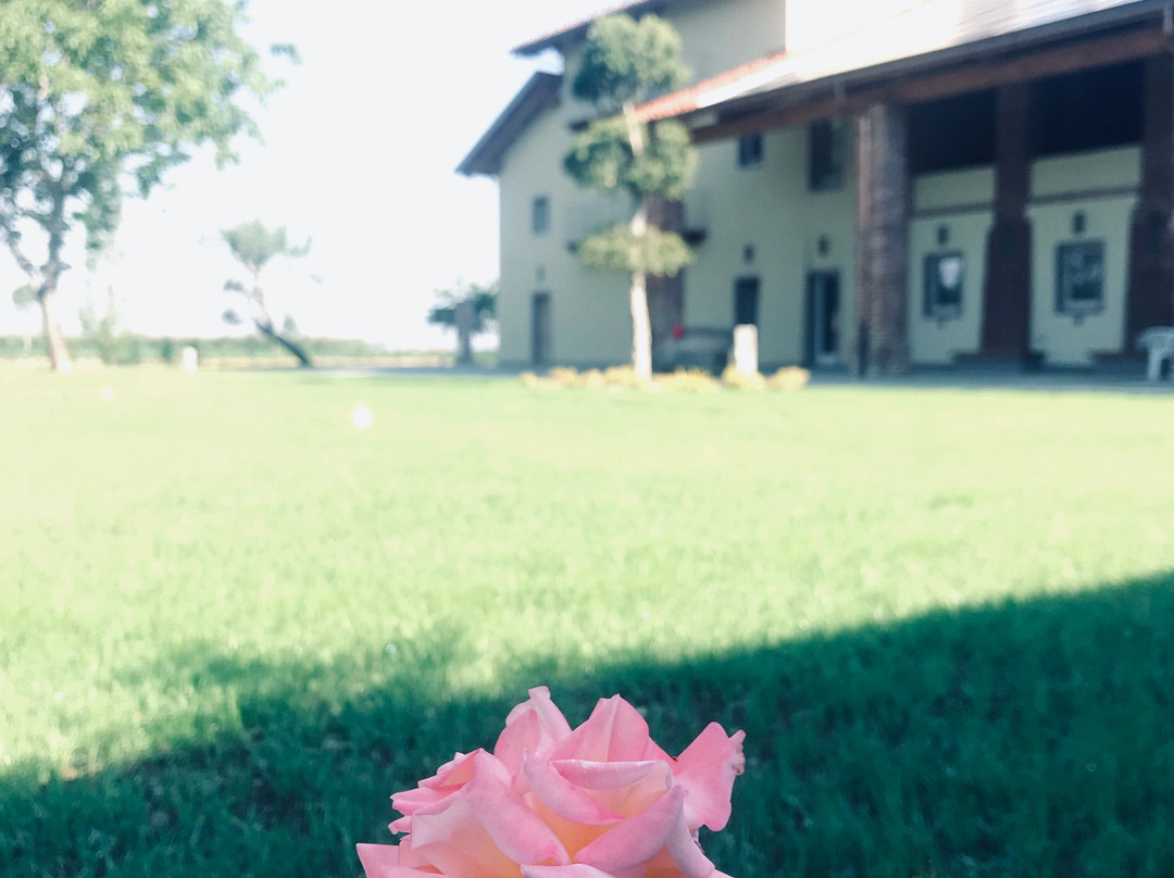 Morozzo酒店住宿-Cascina Fabbrica