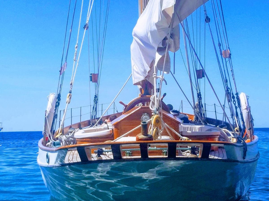 Owl 1909-Port d'Andratx必去景点