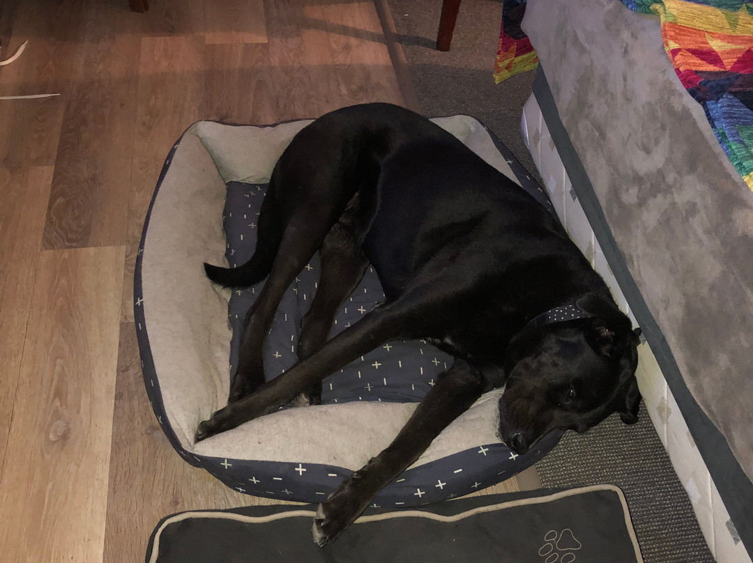 A & A Lodge Motel Emerald主图