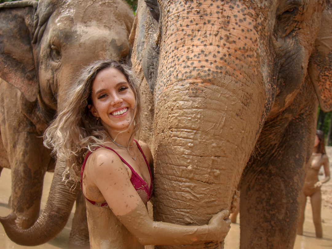 Maerim Elephant Sanctuary-夜林必去景点