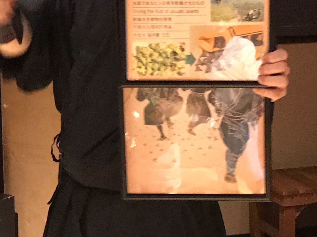 忍者体验之旅-Kabukicho必去景点