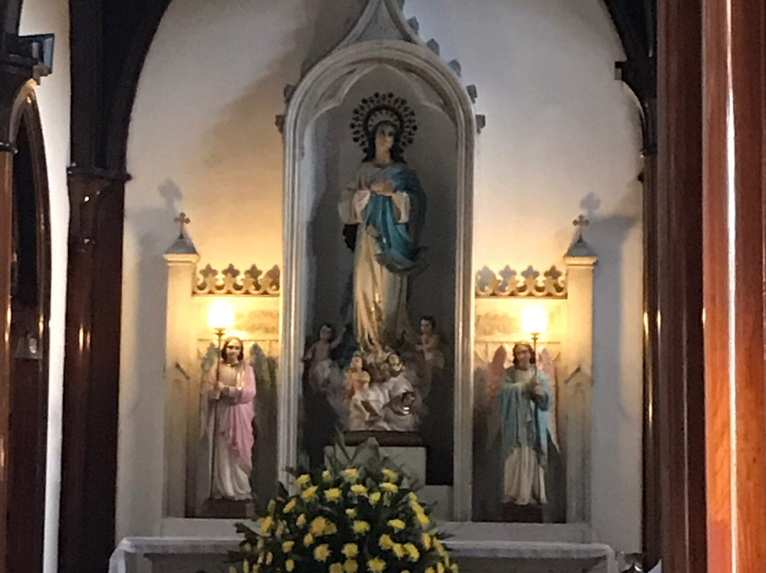 Basílica Menor de la Inmaculada Concepción-Manizales必去景点