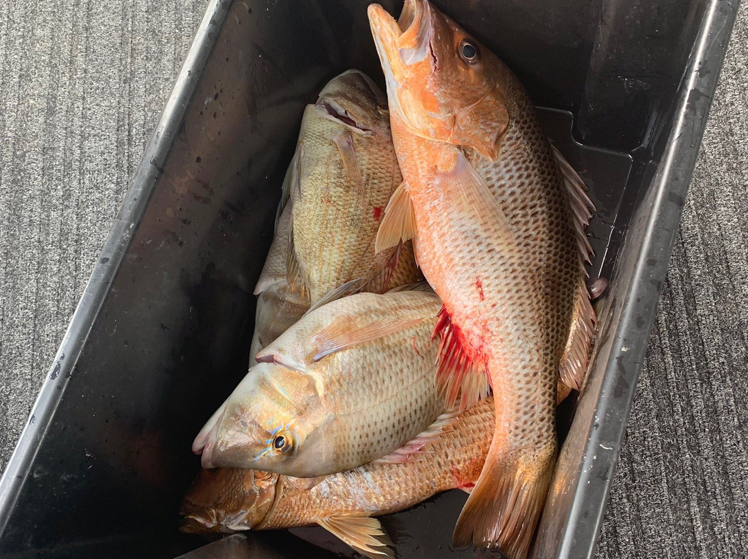 Frontier Fishing-达尔文市必去景点