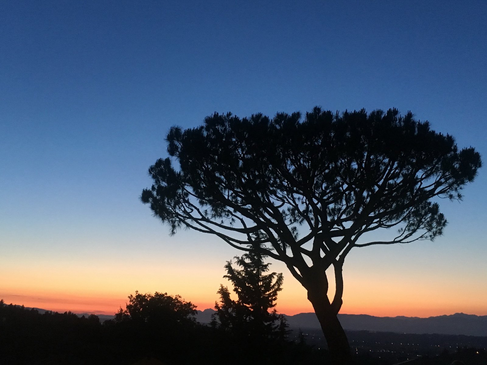 Agriturismo Bellavista-酒店景观