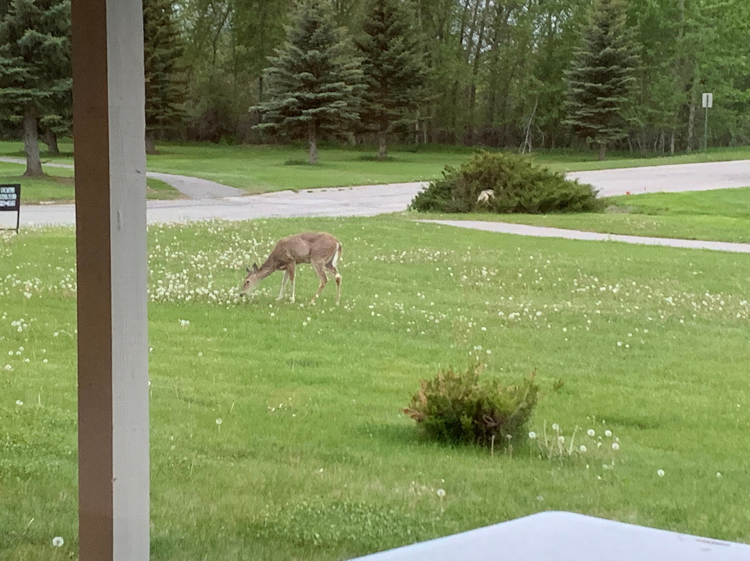 Aspen Townhomes主图