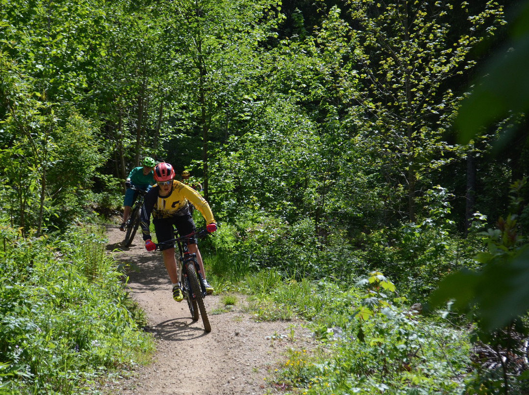 Station VTT de Métabief-Metabief必去景点