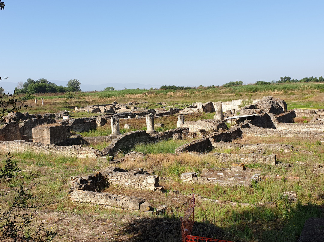 Parco Archeologico di Sibari景点图片