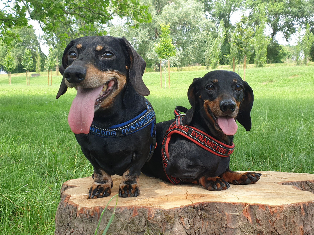 Parco Forlanini-米兰必去景点