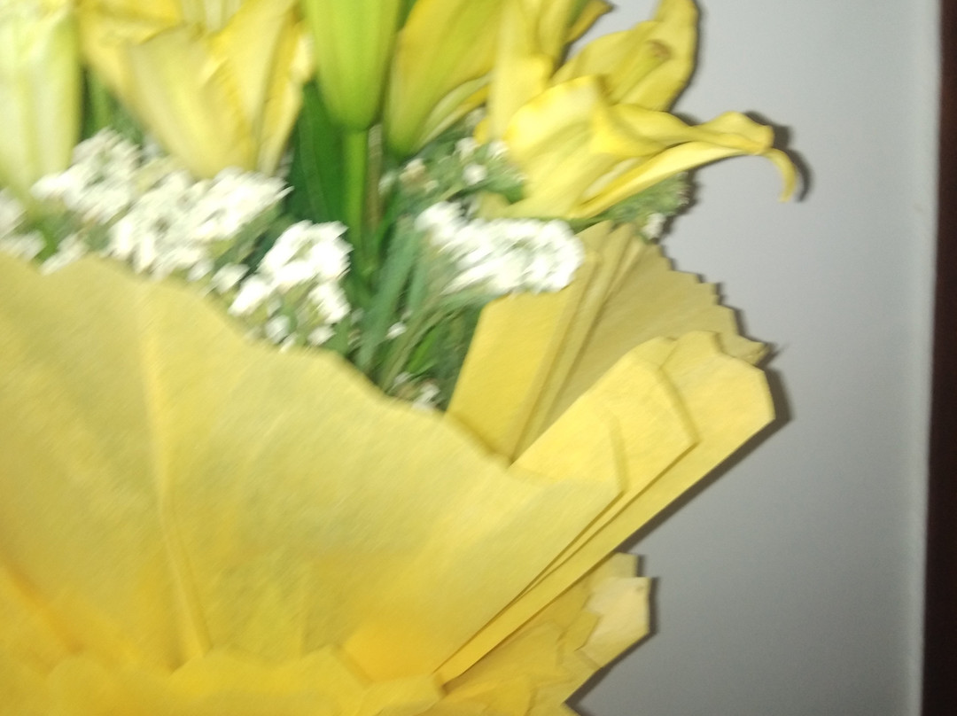 Himalayan Chalet主图