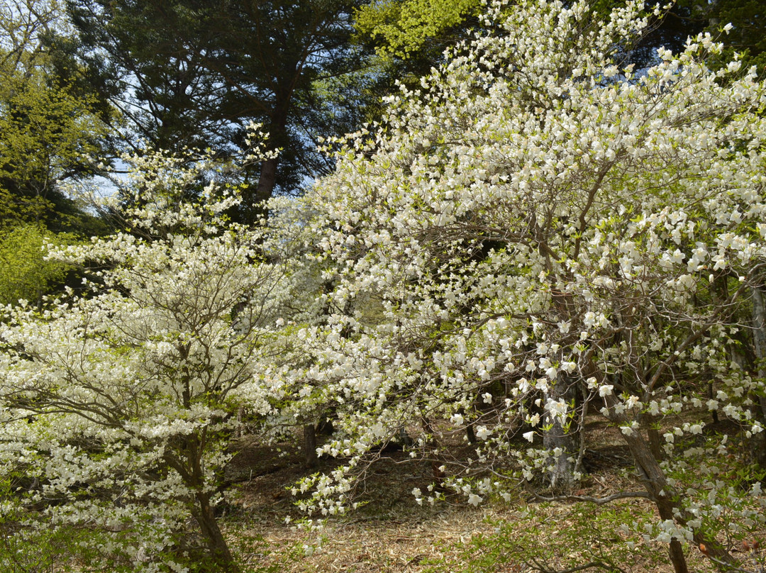 Mt Jeans Nasu-那须町必去景点