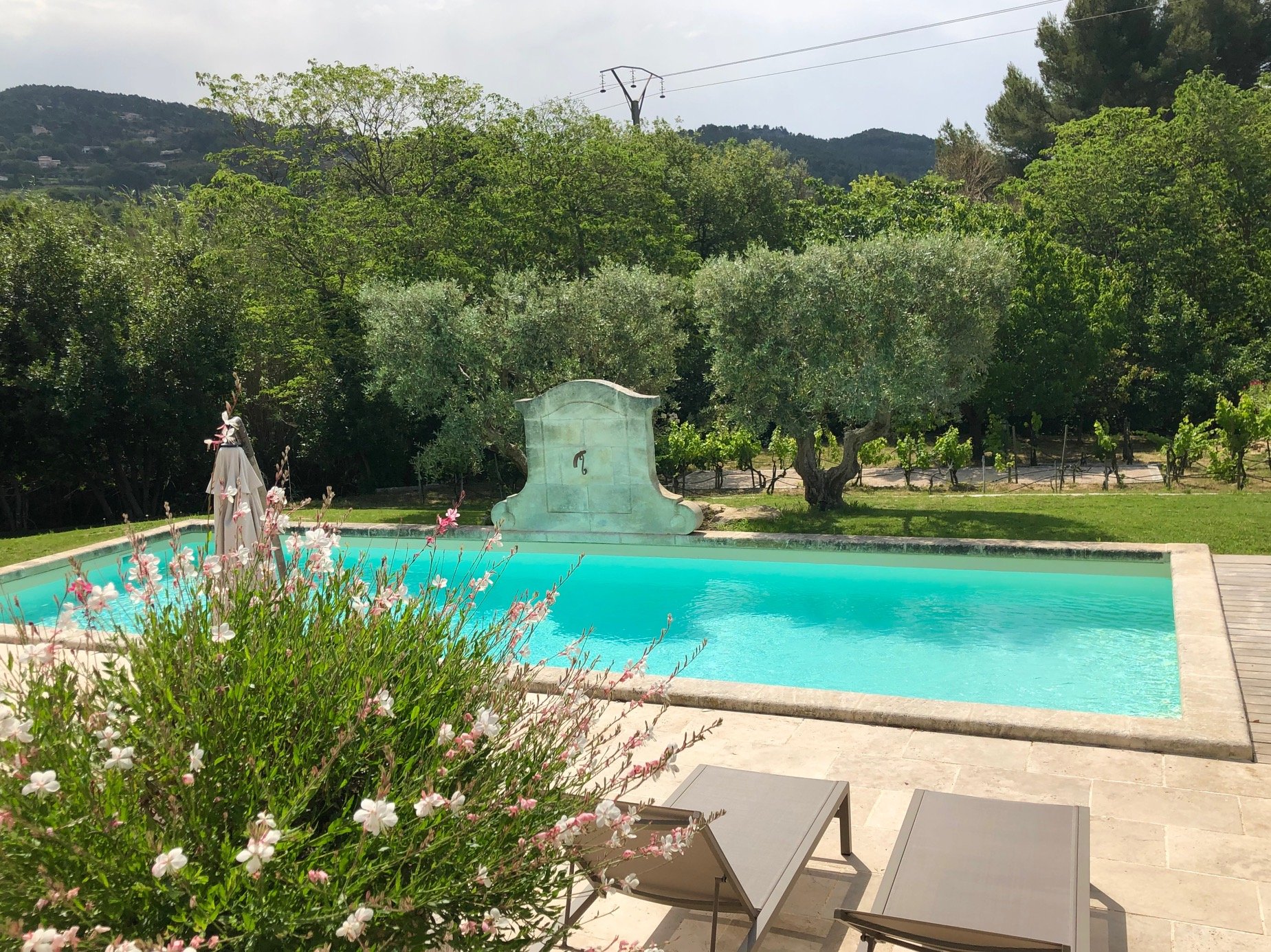 Bastide De Fontvieille-泳池
