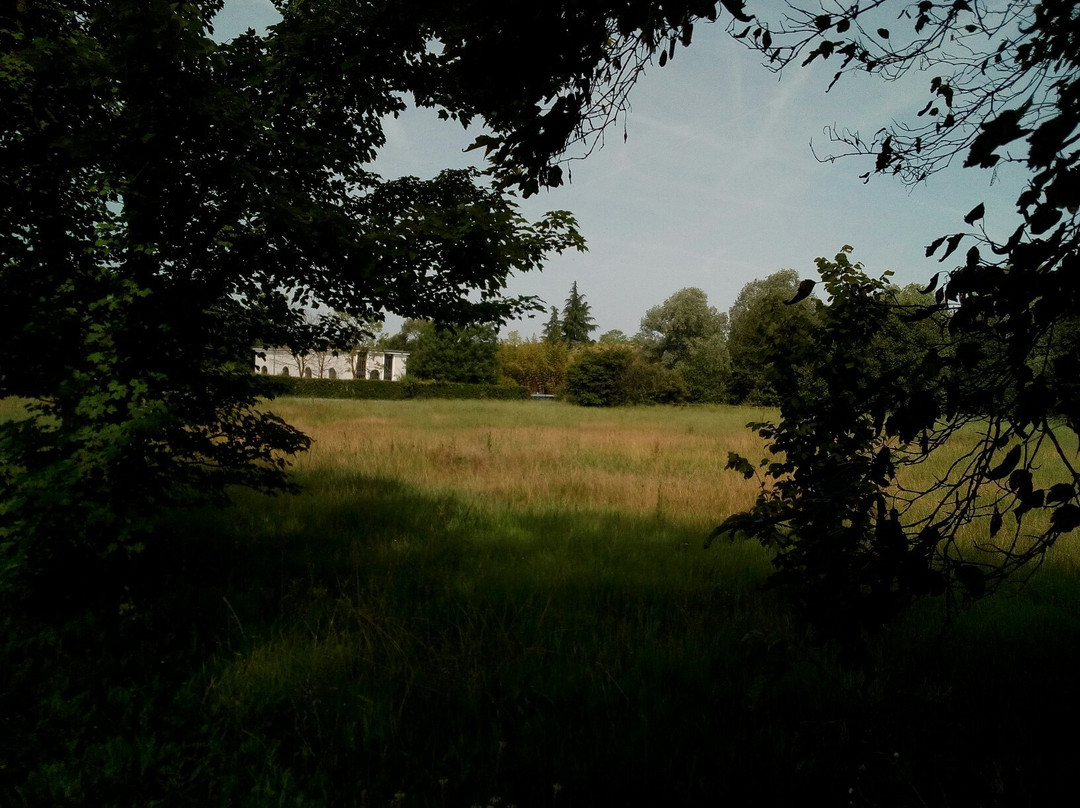 Parco dei Molini di Pasiano景点图片