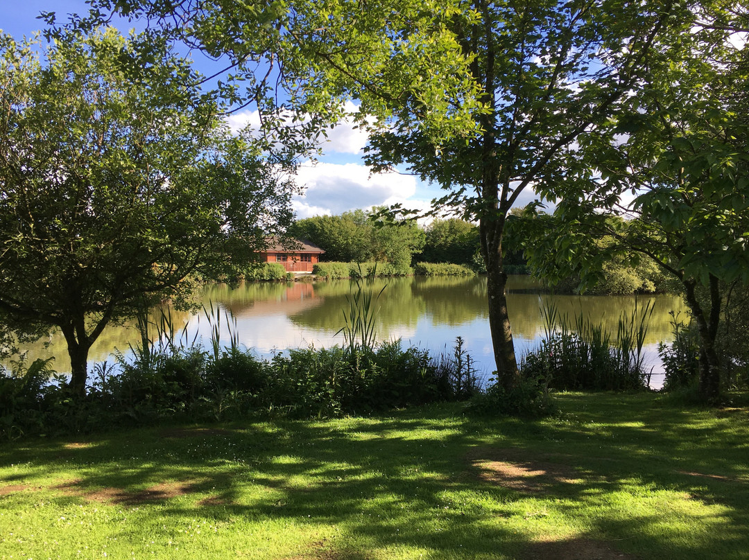 Clovelly Lakes Lodges, Lakes & Fishing