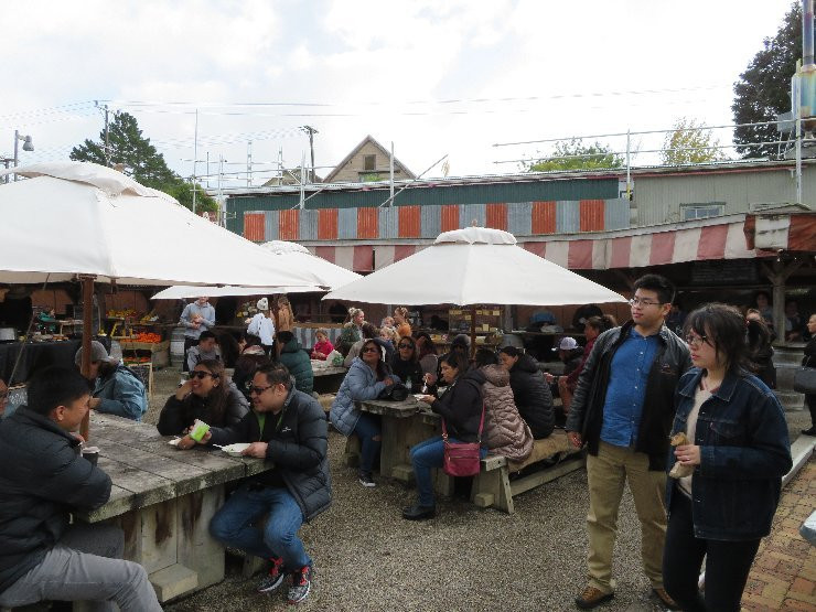 Matakana Village Farmers' Market景点图片