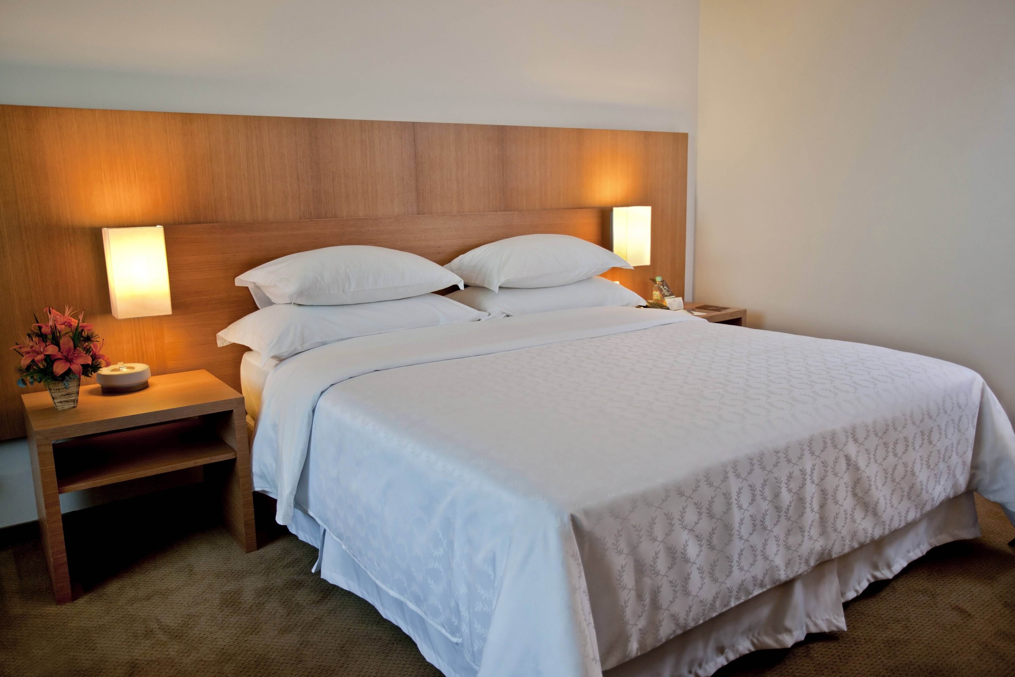 Sheraton Vitoria Hotel-官方