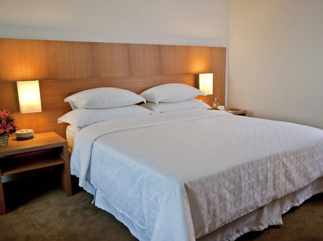 Sheraton Vitoria Hotel主图