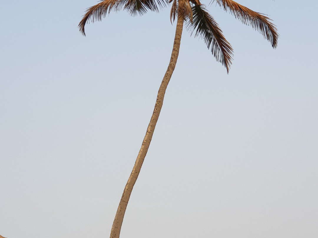 Vengurla's Lighthouse景点图片