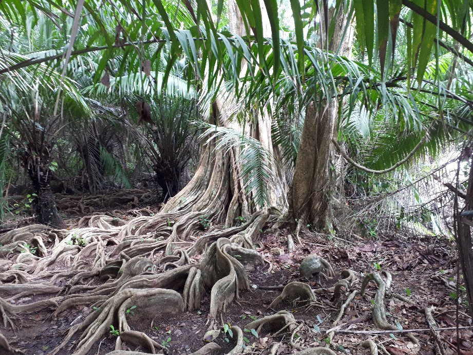 Drake Trail-德雷克湾必去景点