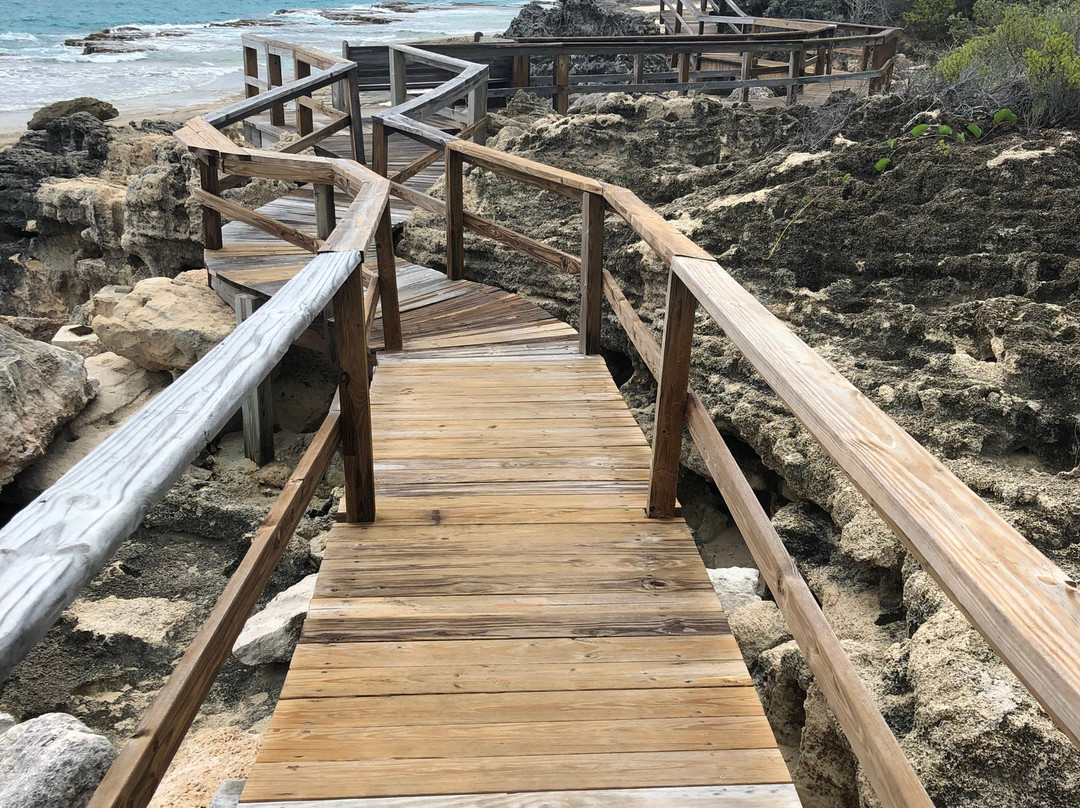 Stella Maris Resort Club主图