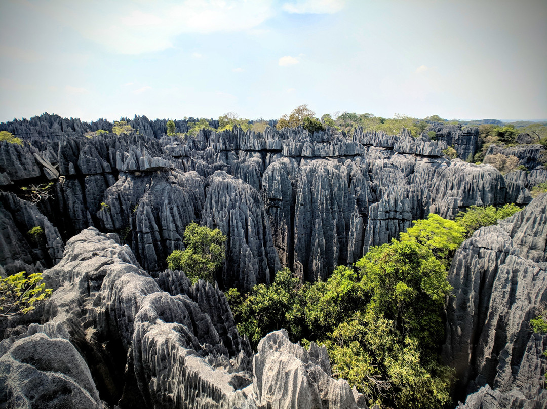 Mada Safari Tour景点图片