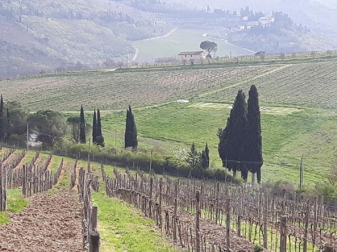 Tavarnuzze酒店住宿-B&B La Luna