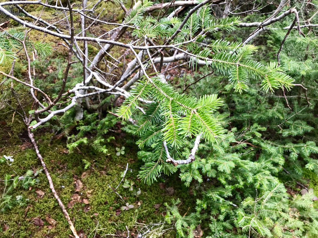 La Manche Provincial Park景点图片