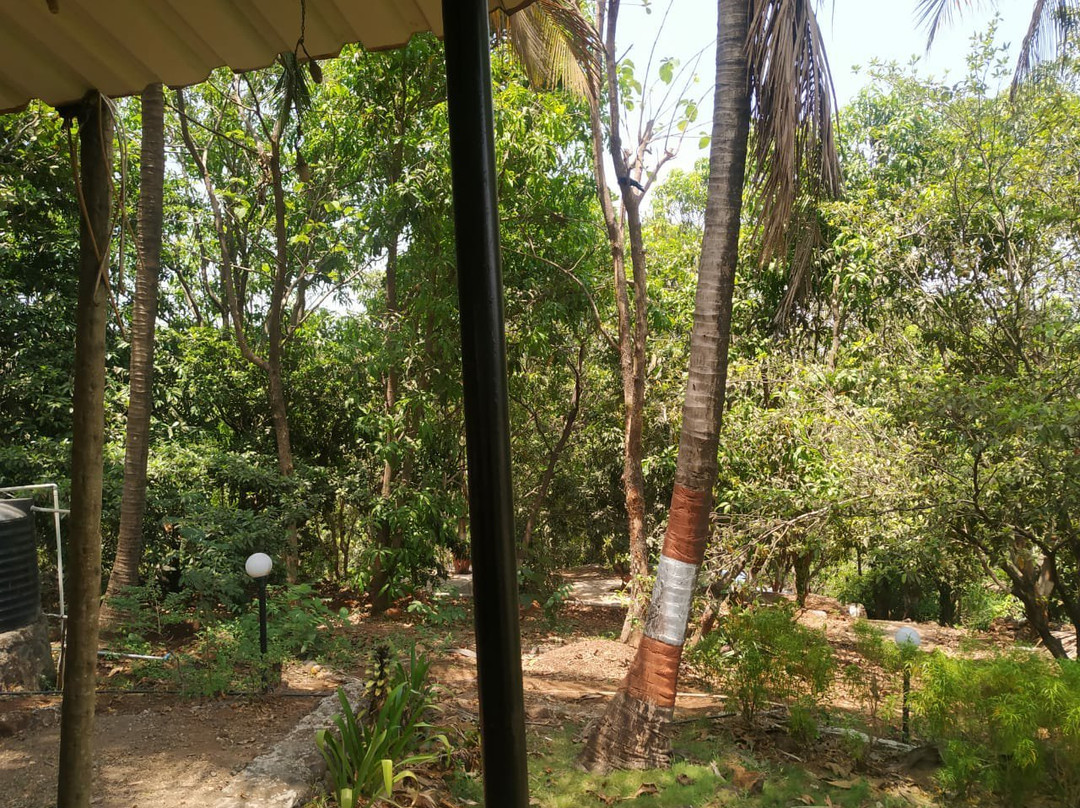 SPOT ON 69008 Doctor's Farm主图