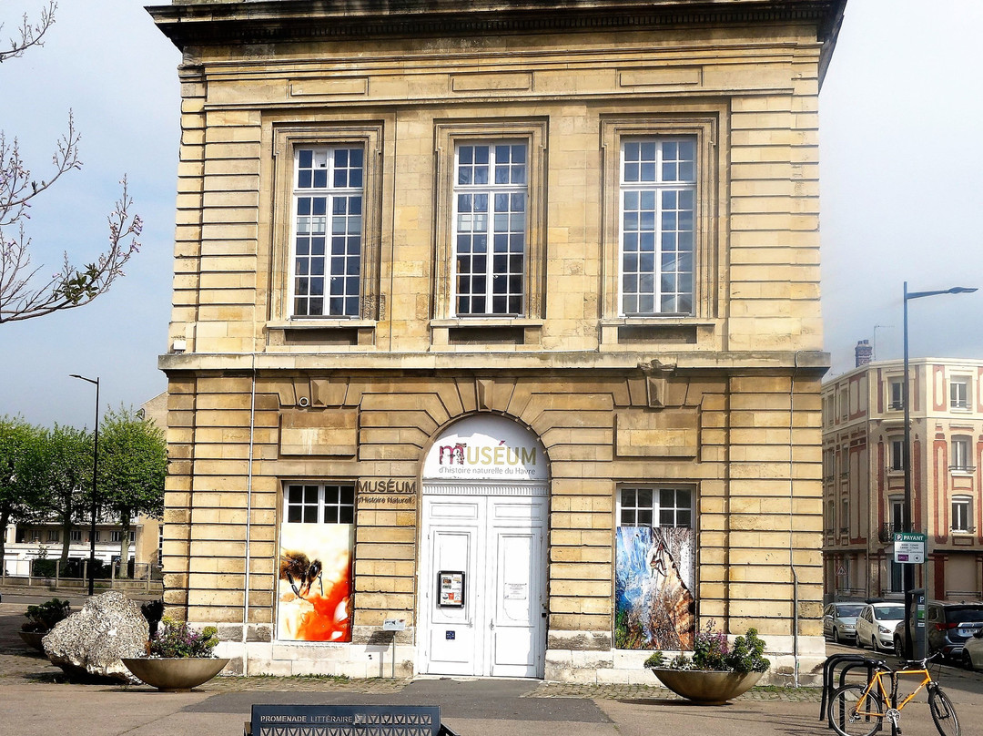 Muséum d'Histoire Naturelle-勒阿弗尔必去景点