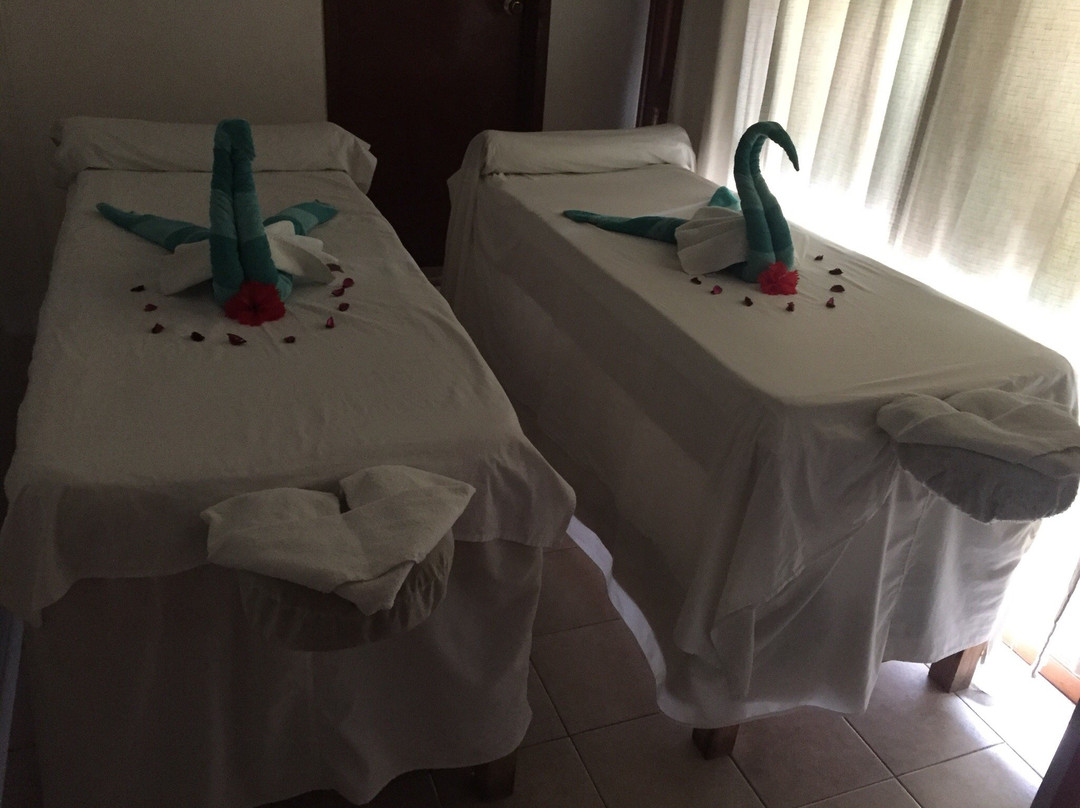 Aqua Marine Health & Spirit-普拉亚德尔卡曼必去景点