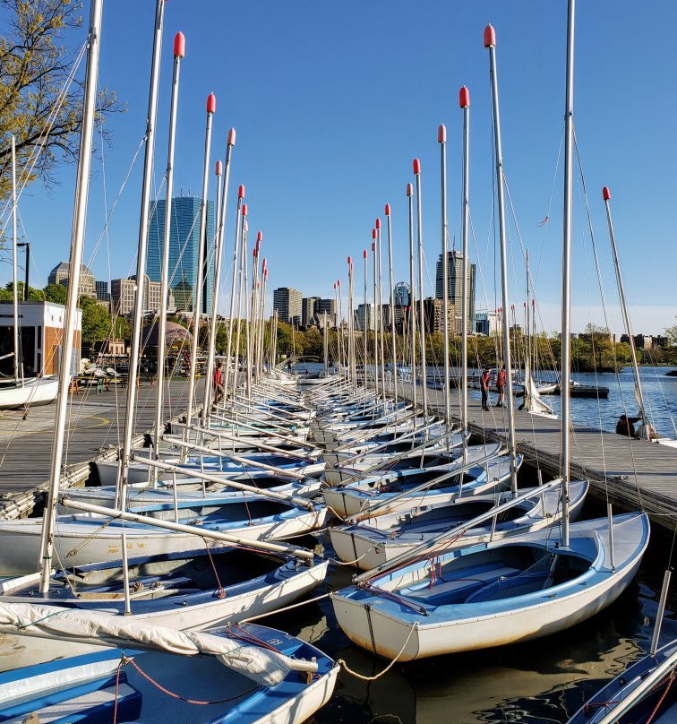 Community Boating Inc.-波士顿必去景点