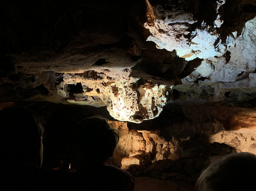 Wind Cave Canyon Trail-Wind Cave National Park必去景点
