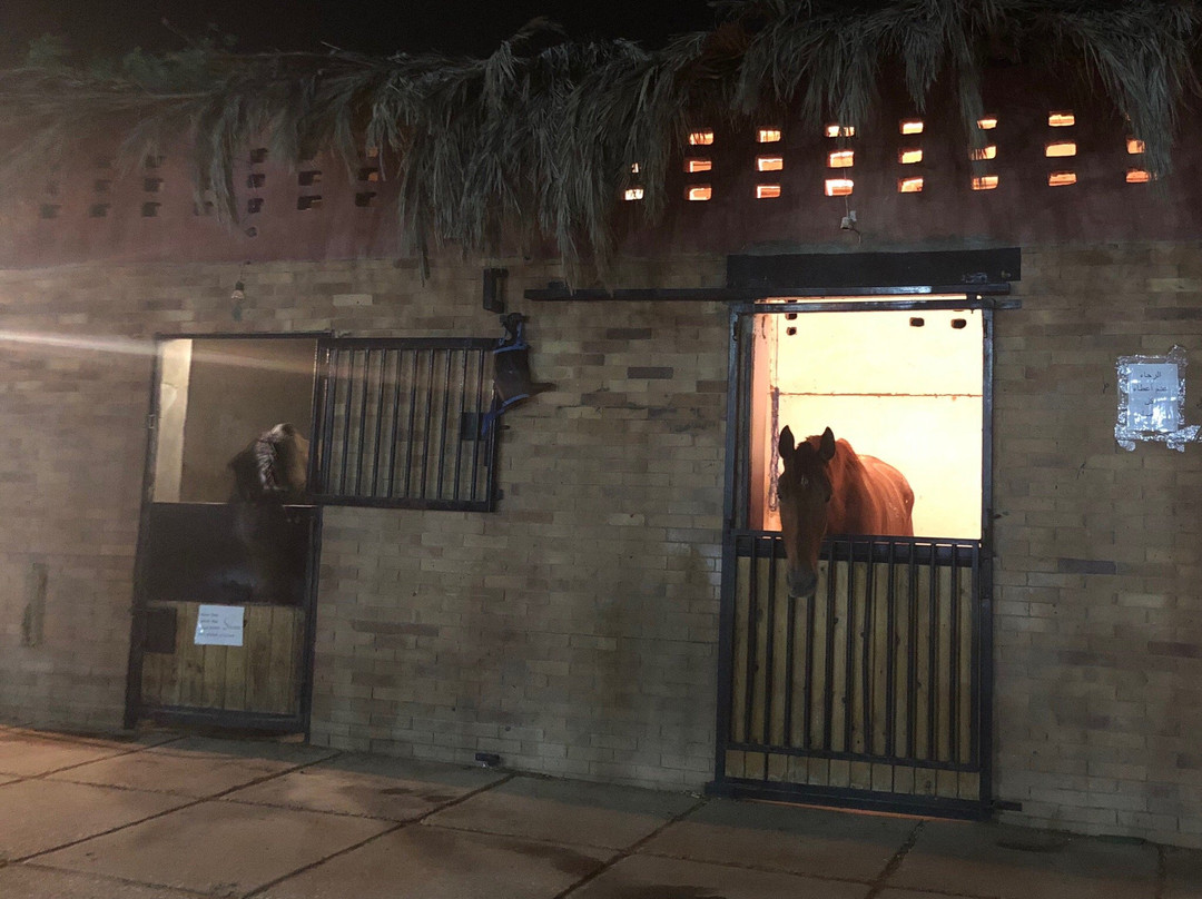 Stallion Equestrian Center景点图片