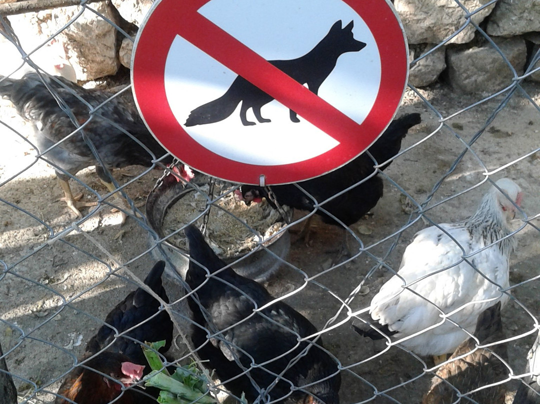 Kameni Dvori B&B主图