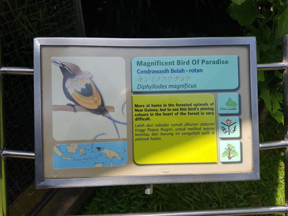 巴厘岛鸟园景点图片