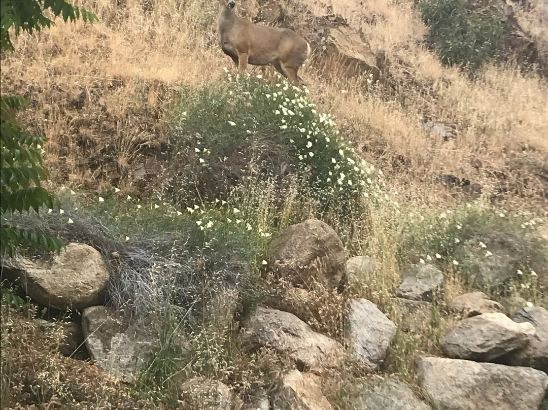 Sacred Mountain River Suites主图