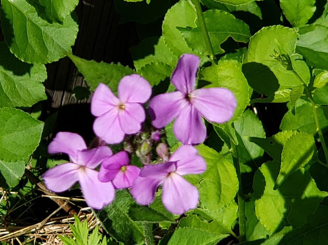 Bowdoin Park-Wappingers Falls必去景点