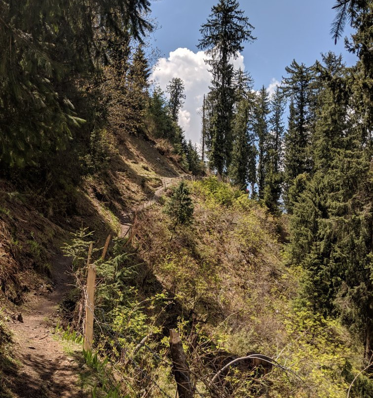 Satyam Home Stay主图