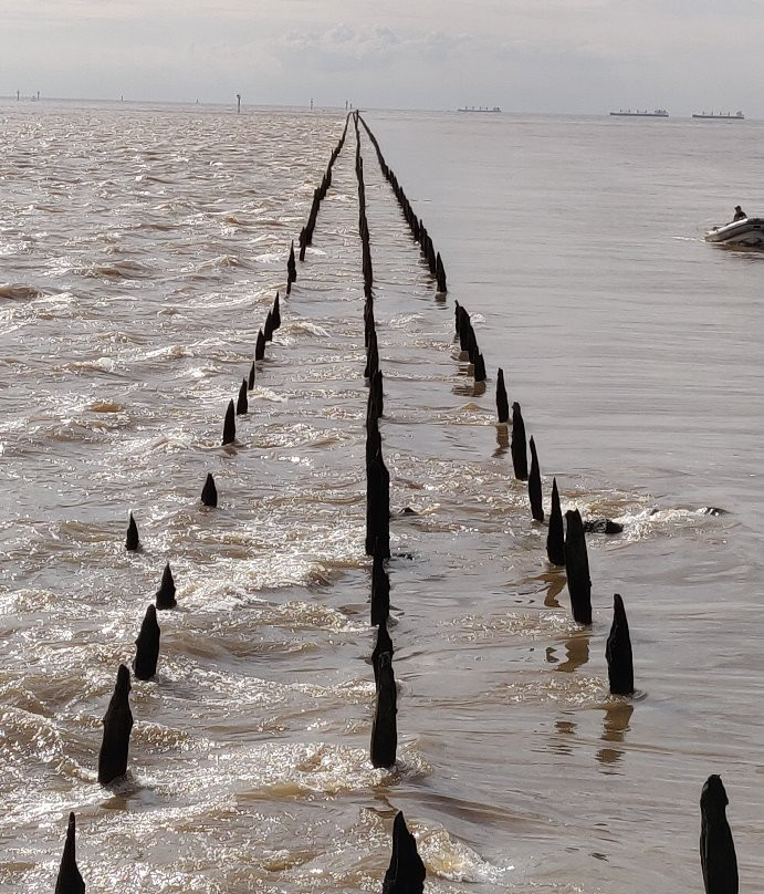 Lancha Isla Paulino-Berisso必去景点