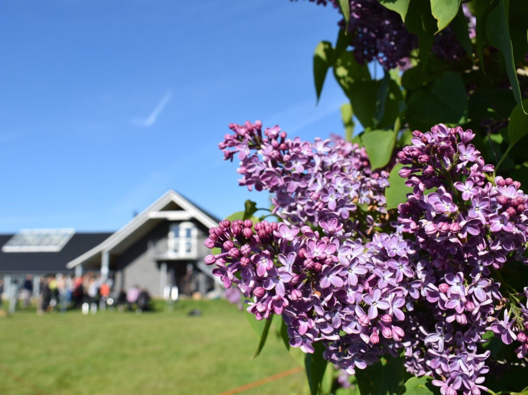 Oehavets Smakke- og Naturcenter-Rudkoebing必去景点