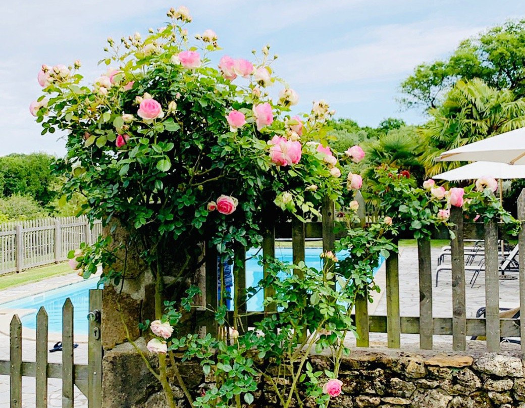 La Maison du Bos主图