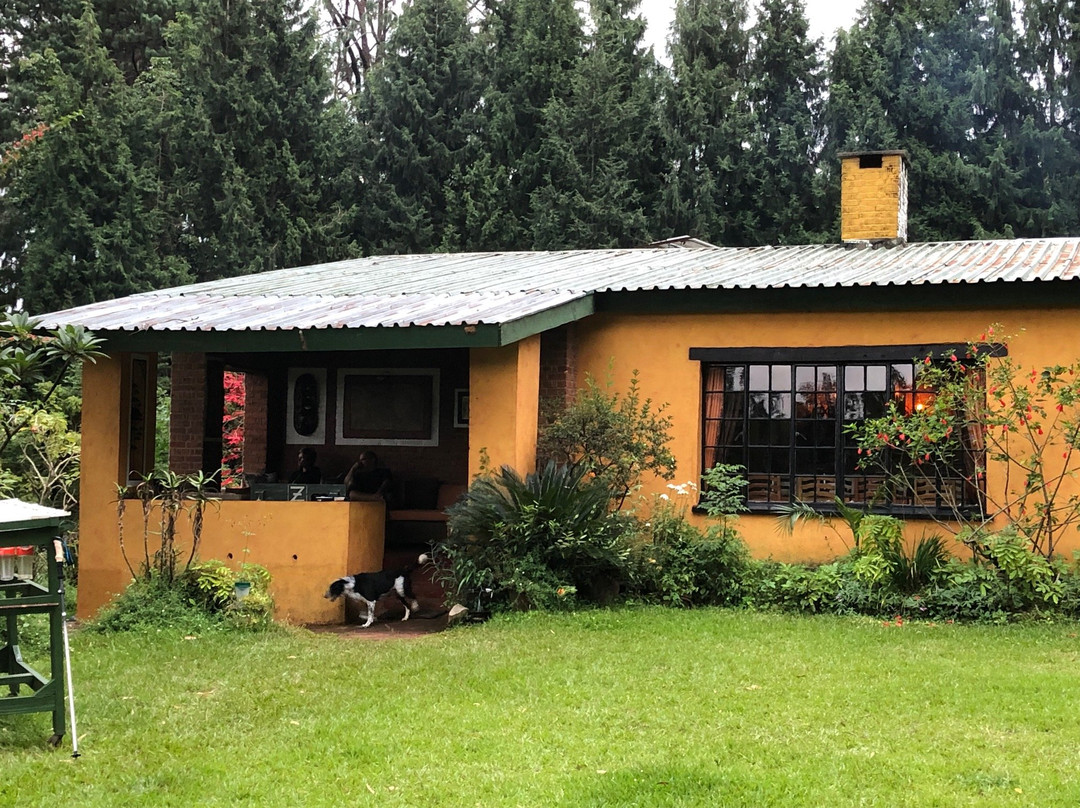 Zomba Forest Lodge主图