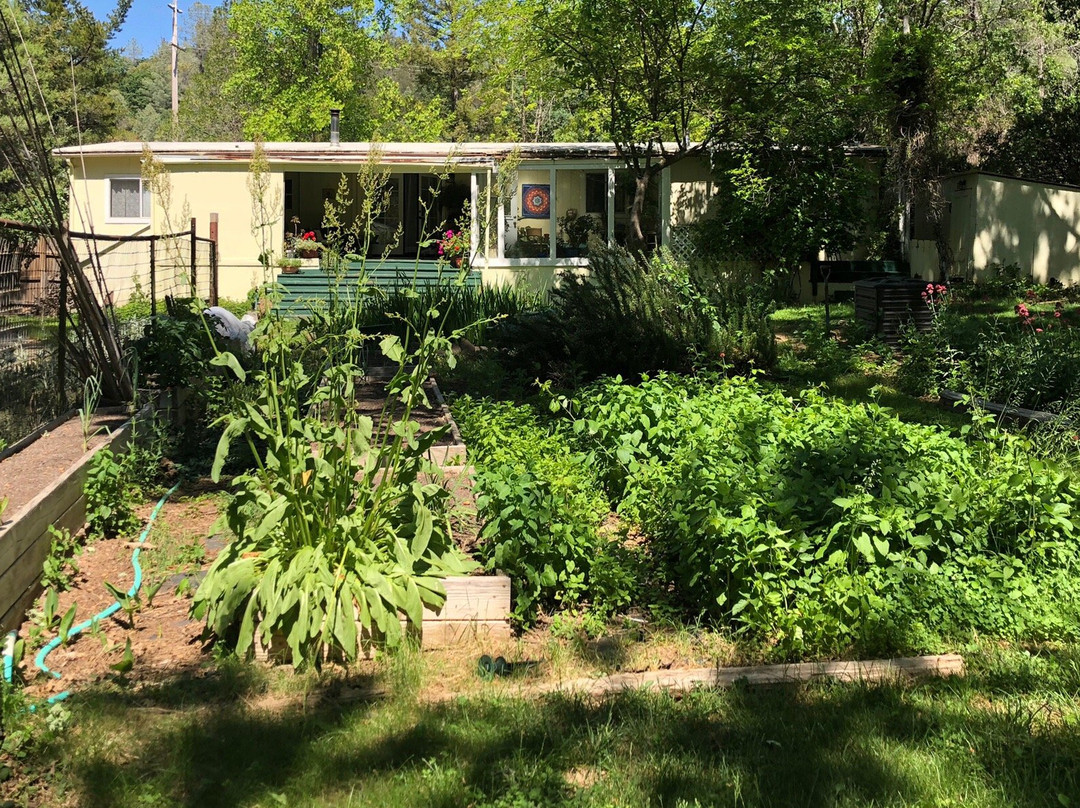 Backyard Garden Oasis B&B主图