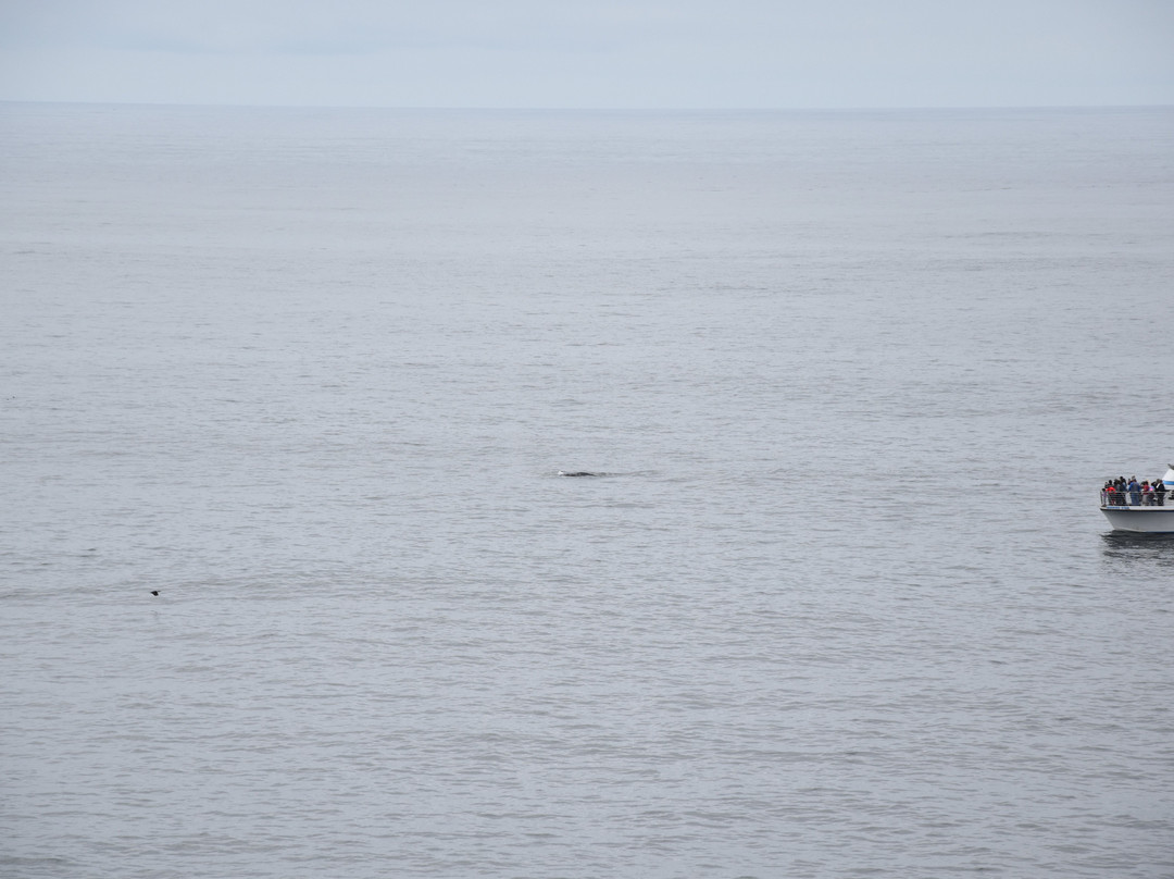 Siletz Bay Park-林肯城必去景点