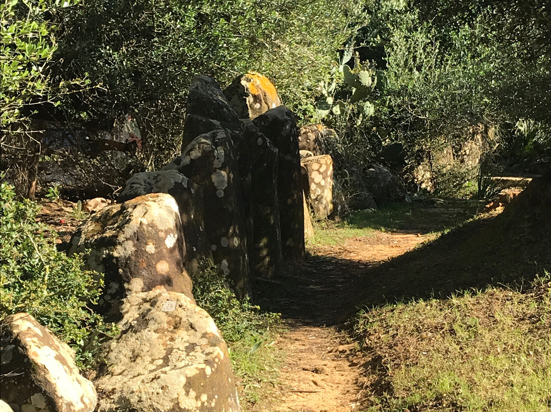 Cromlech de Mzoura-Mzoura必去景点