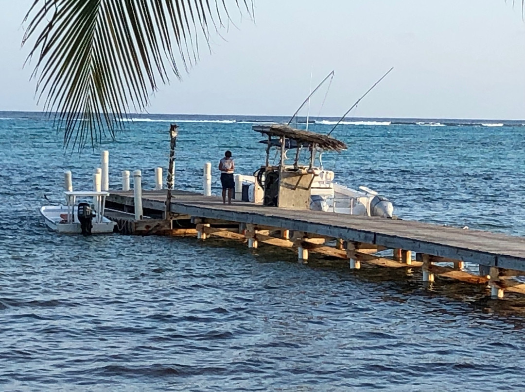 Southern Cross Club主图