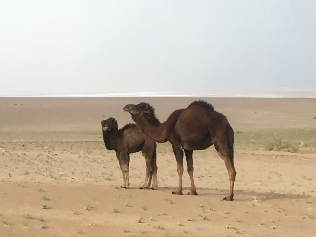 Iran Adventurers-卡尚必去景点